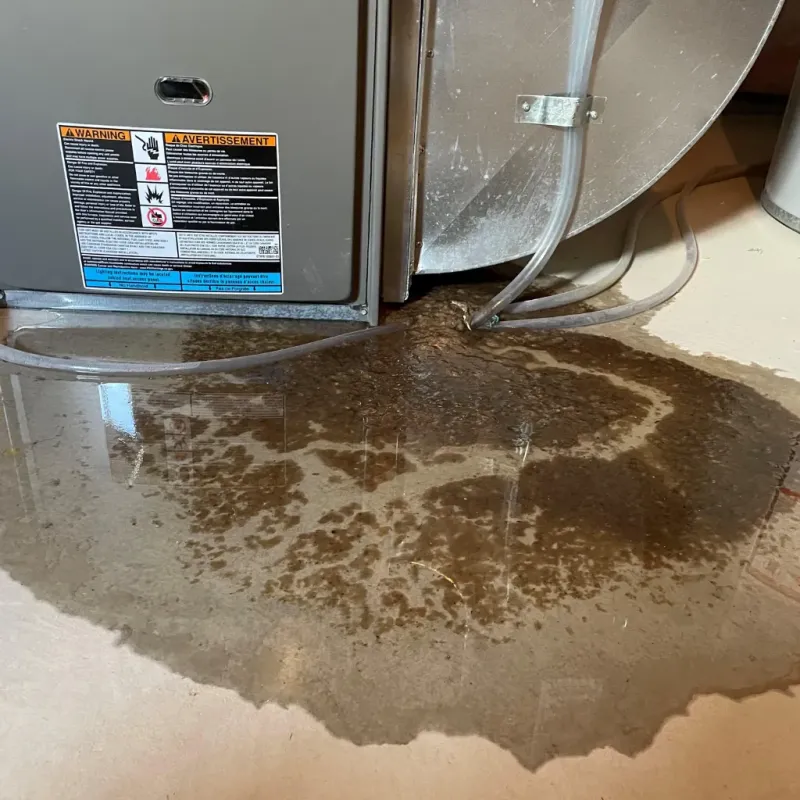 Appliance Leak Cleanup in Whitfield, FL